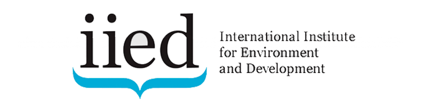 IIED slider logo