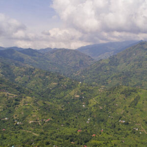 Trees for Global Benefits – ECOTRUST