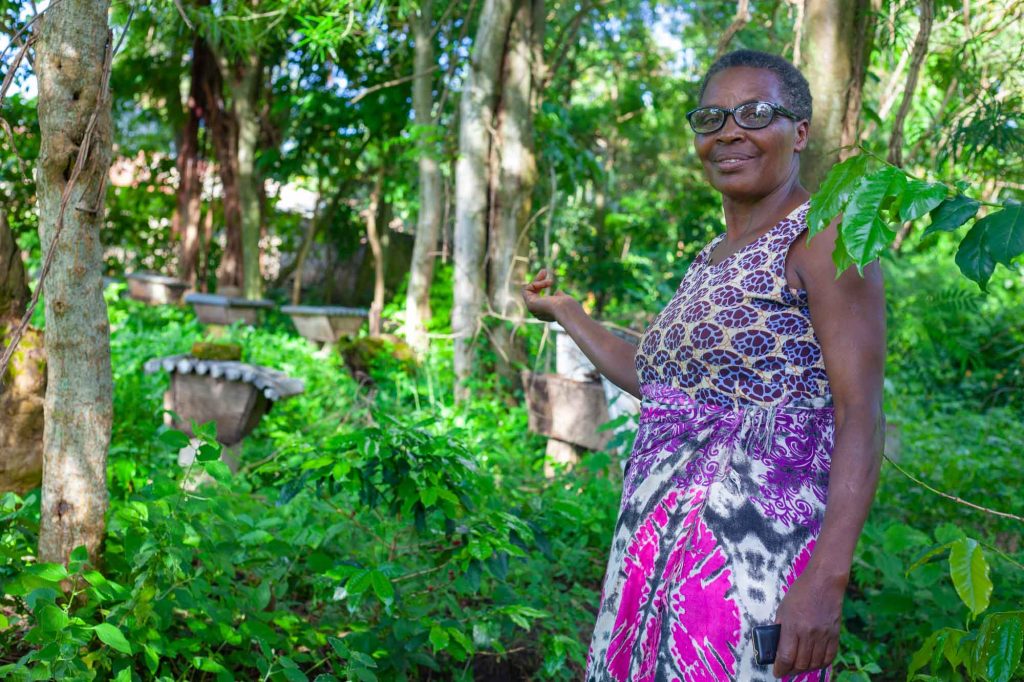 How ECOTRUST is Transforming Uganda’s Climate Frontlines Through Farmer-Led Carbon Forestry